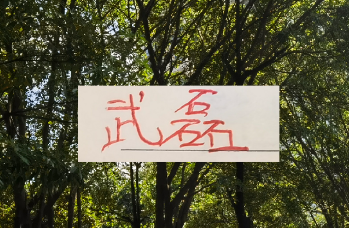 杏彩体育平台-海港冬训海报 武磊跟LEO占C位 梅伦多跟加布里不在之中